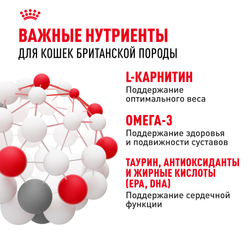 ROYAL CANIN British Shorthair Корм сухой для кошек породы Британская короткошерстная, 2 кг