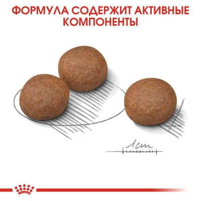 Сухой корм Royal Canin DIGESTIVE CARE для собак средних пород для поддержания пищеварит. системы 3кг