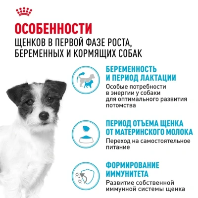 Сухой корм Royal Canin Mini Starter Mother & Babydog для щенков и беременных мелких пород 1 кг