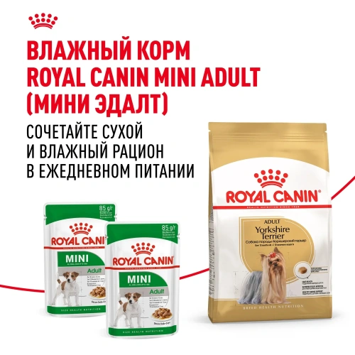 Royal Canin Adult Yorkshire Terrier Сухой корм для взрослых собак породы Йоркширский терьер, 1,5 кг