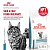 Сухой корм Royal Canin Skin & Coat для стерилизованных кошек с чувствительной кожей - 350 г