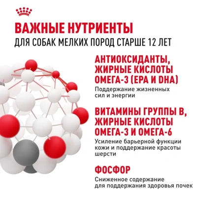 Влажный корм  Royal Canin Mini Ageing 12+, для собак  мелких пород 12+ в  соусе, 85г