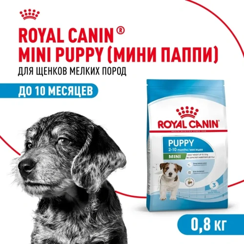 Royal Canin Mini Puppy Корм сухой для щенков мелких пород, 800 г