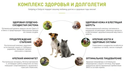 Сухой корм для котят Dailycat casual с индейкой и говядиной 400 г.