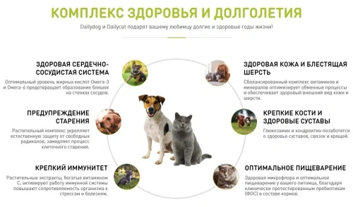 Сухой корм для котят Dailycat casual с индейкой и говядиной 400 г.