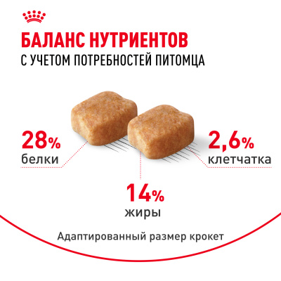 Сухой корм Royal Canin для взрослых собак породы Такса 1,5 кг
