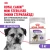 Сухой корм Royal Canin Mini Sterilised стерилизованных собак мелких пород - 3 кг