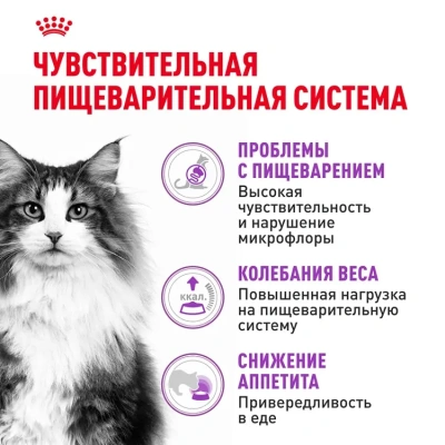 Сухой корм Royal Canin Sensible 33 для взрослых кошек с чувствительным пищеварением 1,2 кг