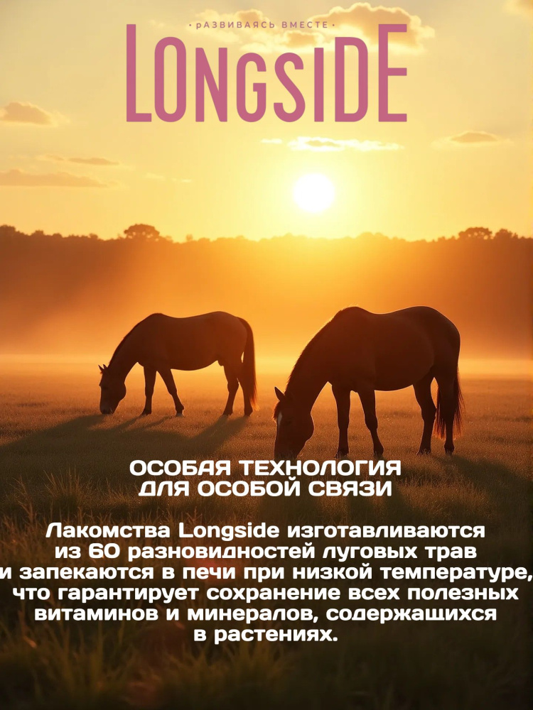 Лакомство для лошадей LONGSIDE, укрепляющее доверие. Садовое яблоко