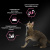Purina PRO PLAN Delicate Сухой корм для кошек с чувствительным пищеварением, ягнёнок, 3 кг