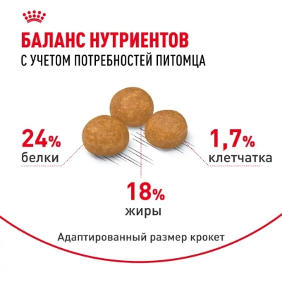 Royal Canin X-Small Adult Корм сухой для миниатюрных пород от 10 месяцев до 8 лет, 1,5 кг