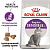 Сухой корм Royal Canin Sensible 33 для взрослых кошек с чувствительным пищеварением 1,2 кг