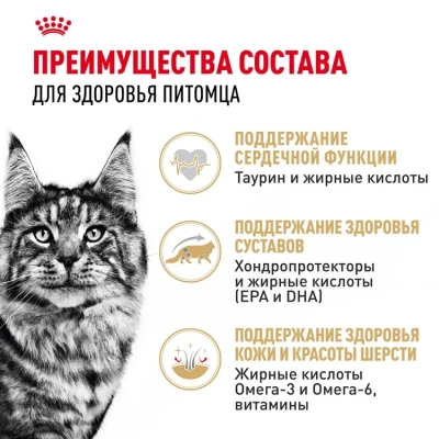Royal Canin Maine Coon 31 Сухой корм для кошек породы Мейн Кун, 4 кг