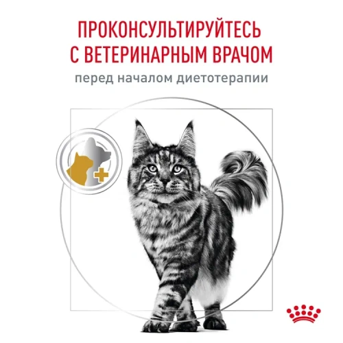 Влажный ветеринарный корм Royal Canin Urinary S/O для кошек при проблемах мочевыводящих путей, 85гр