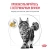 Влажный ветеринарный корм Royal Canin Urinary S/O для кошек при проблемах мочевыводящих путей, 85гр