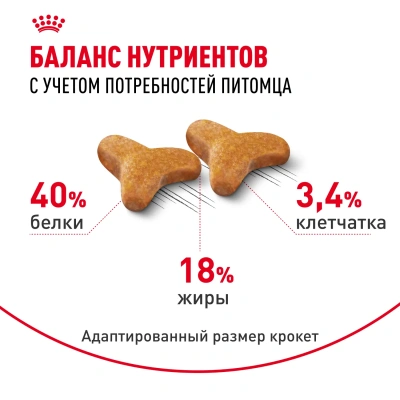 Сухой корм Royal Canin Bengal Adult для взрослых кошек бенгальской породы (Бенгал эдалт) 2 кг