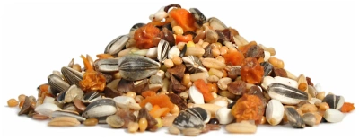 Корм RIO для средних попугаев 500 гр