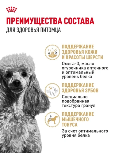 Сухой корм для собак породы пудель Royal Canin 1,5 кг