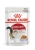 Влажный корм Royal Canin Instinctive для кошек, кусочки в желе (28 паучей по 85 гр)