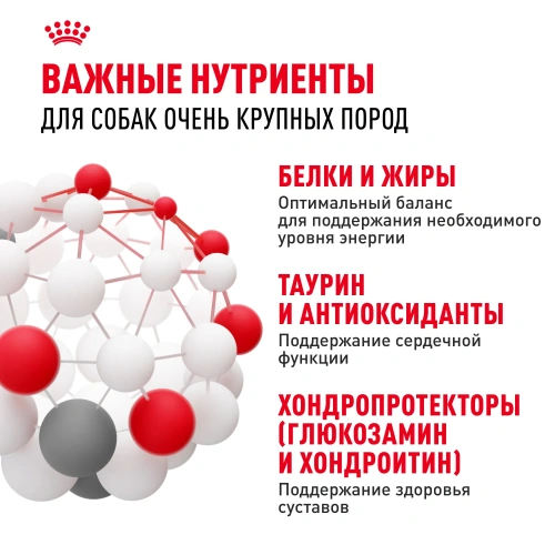 Royal Canin Giant Adult MGA-28 Сухой корм для собак гигантских пород, 15 кг