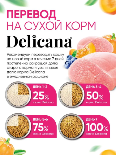 Сухой корм DELICANA для котят с чувствительным пищеварением с индейкой 0,4 кг 