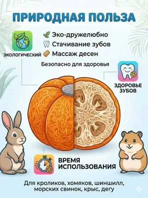Лакомство для грызунов игрушка Bambini Pets "Тыква" из люфы