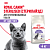 Royal Canin Sterilised 37 Сухой корм для стерилизованных кошек 1-7 лет, 4 кг