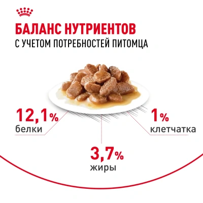 Влажный корм Royal Canin Hair&Skin Care для здоровья кожи и красоты шерсти ломтики в соусе 85г