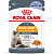 Влажный корм Royal Canin Hair and Skin для здоровья кожи и шерсти ломтики в желе 85 г