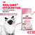 Royal Canin Kitten Сухой корм для котят от 4 до 12 месяцев, 2 кг