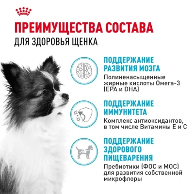 Royal Canin X-Small Junior Корм сухой для щенков миниатюрных пород, 1,5 кг