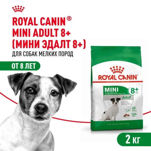 Сухой корм Royal Canin Adult Mini для пожилых собак мини пород 8+, 2 кг
