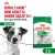 Сухой корм Royal Canin Adult Mini для пожилых собак мини пород 8+, 2 кг