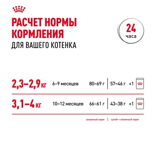Влажный корм Royal Canin Kitten Sterilised, корм для стерилизованных котят в соусе, 28*85 г