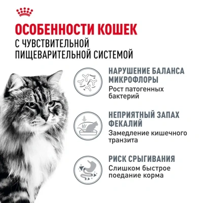 Royal Canin Digestive Care Сухой корм для взрослых кошек с расстройствами пищеварительной системы, 4