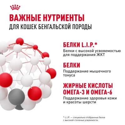 Сухой корм Royal Canin Bengal Adult для взрослых кошек бенгальской породы (Бенгал эдалт) 2 кг