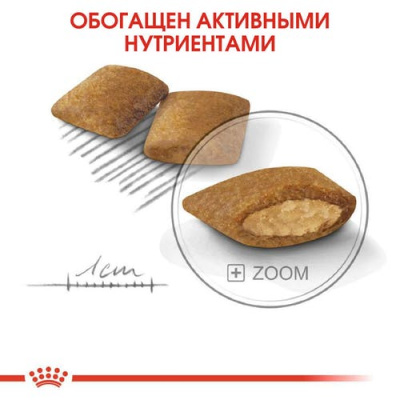 Royal Canin Mini Exigent Сухой корм для собак мелких пород, привередливых в питании, 1 кг