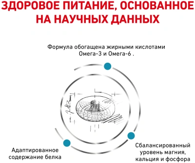 Сухой корм Royal Canin Skin & Coat для стерилизованных кошек с чувствительной кожей - 350 г