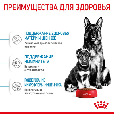 Сухой корм Royal Canin Maxi Starter для щенков крупных пород, беременных и кормящих 4 кг