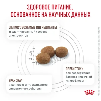 Royal Canin Gastrointestinal Low Fat Small Dog Сухой ветеринарный корм для мелких собак, 3 кг