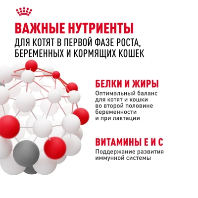 Royal Canin Mother&Babycat Сухой корм для котят, беременных и лактирующих кошек, 2 кг